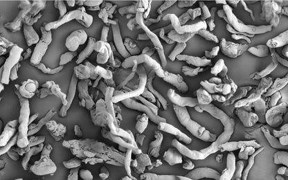 Photo of Premellose croscarmellose sodium, suitable for various tablet and capsule formulations.
