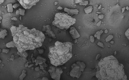 Photo of BioHale® Trehalose Dihydrate, DFE Pharma's high purity, low endotoxin Trehalose Dihydrate.